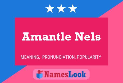 Постер имени Amantle Nels