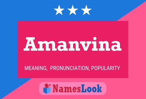 Постер имени Amanvina