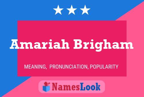 Постер имени Amariah Brigham