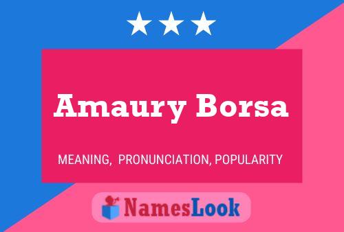 Постер имени Amaury Borsa