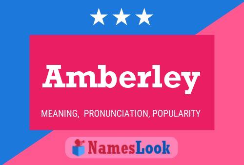 Постер имени Amberley