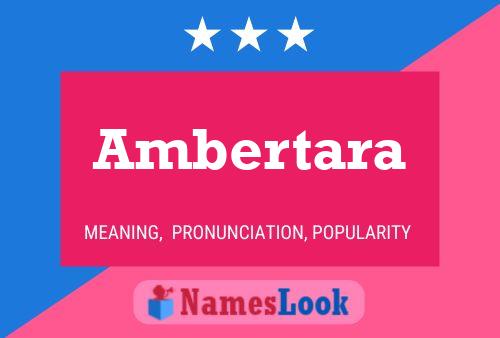 Постер имени Ambertara