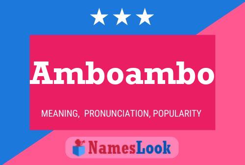 Постер имени Amboambo