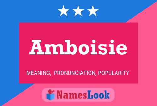 Постер имени Amboisie