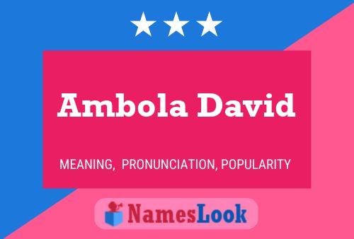 Постер имени Ambola David