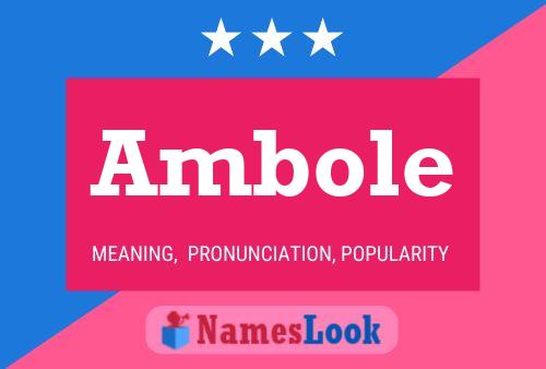 Постер имени Ambole