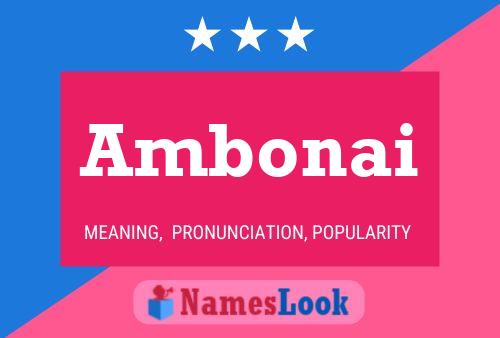 Постер имени Ambonai