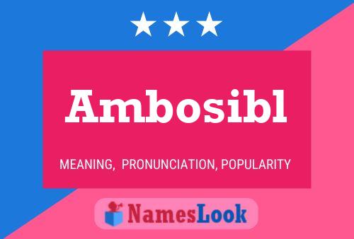 Постер имени Ambosibl