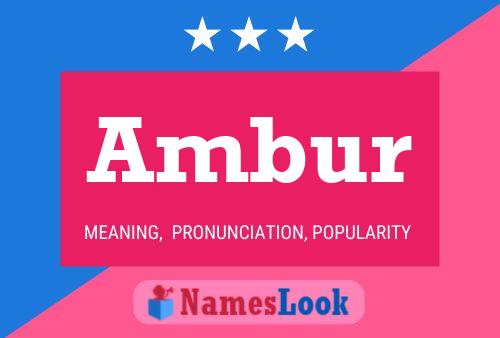 Постер имени Ambur