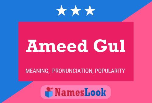 Постер имени Ameed Gul