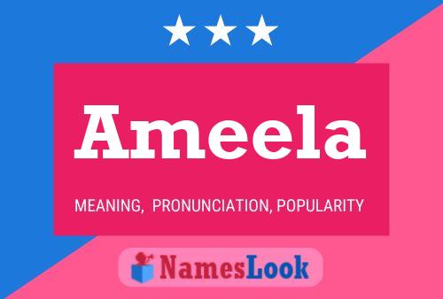 Постер имени Ameela