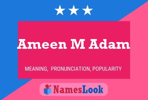 Постер имени Ameen M Adam