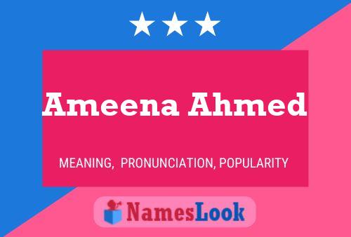 Постер имени Ameena Ahmed