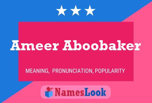 Постер имени Ameer Aboobaker