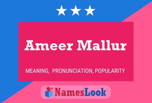 Постер имени Ameer Mallur