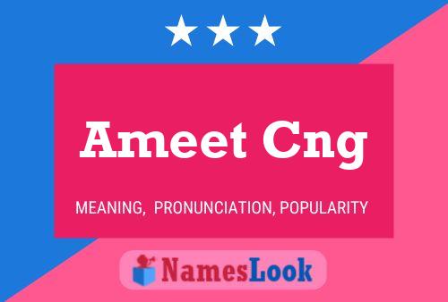 Постер имени Ameet Cng