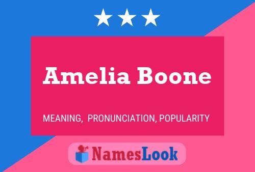 Постер имени Amelia Boone