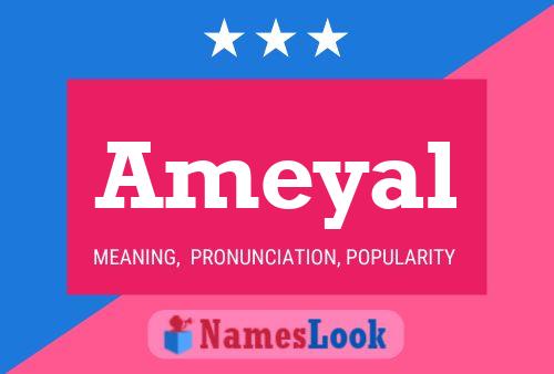 Постер имени Ameyal