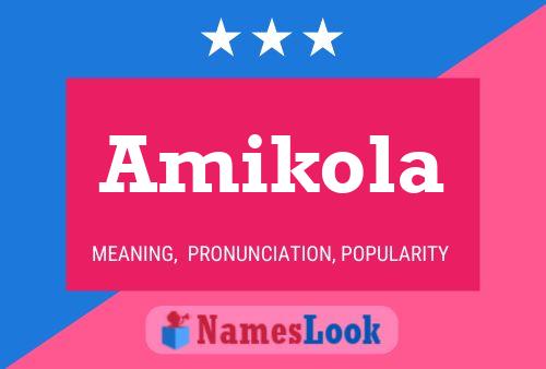 Постер имени Amikola