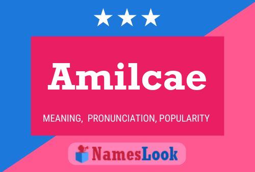 Постер имени Amilcae