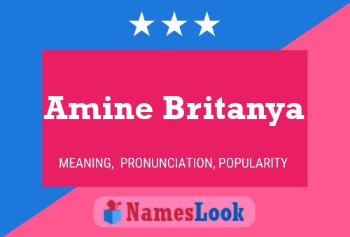 Постер имени Amine Britanya