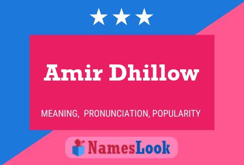 Постер имени Amir Dhillow