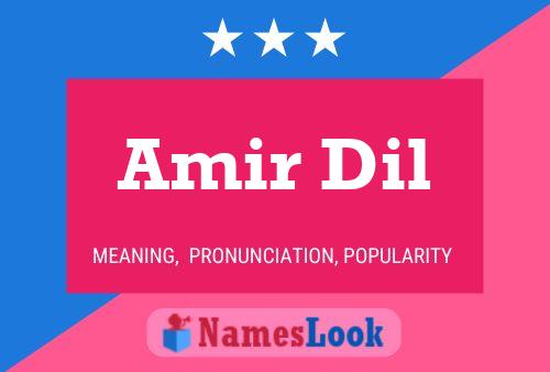 Постер имени Amir Dil