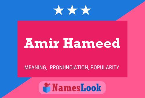 Постер имени Amir Hameed