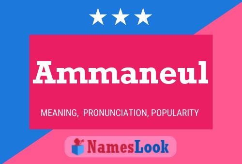 Постер имени Ammaneul