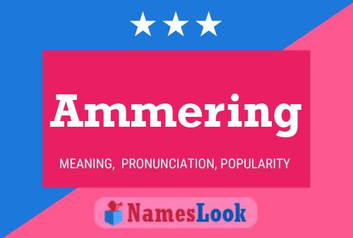 Постер имени Ammering