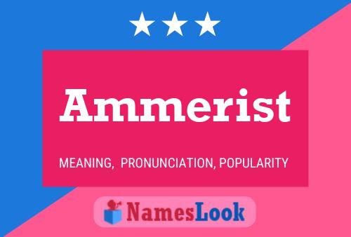 Постер имени Ammerist