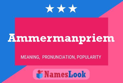 Постер имени Ammermanpriem