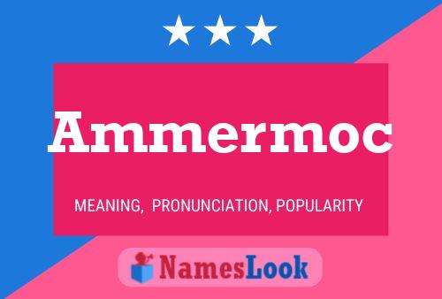 Постер имени Ammermoc