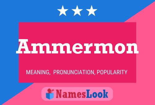 Постер имени Ammermon