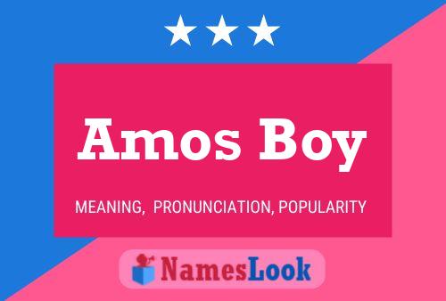 Постер имени Amos Boy