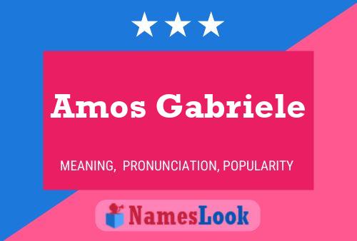 Постер имени Amos Gabriele