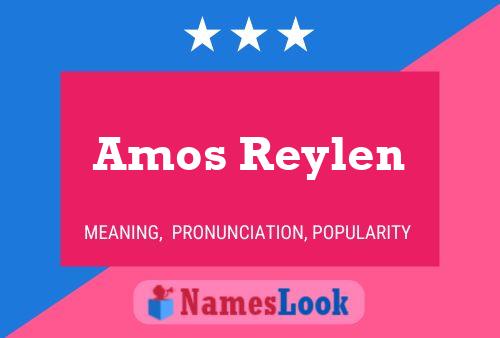 Постер имени Amos Reylen