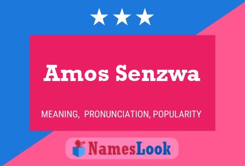 Постер имени Amos Senzwa