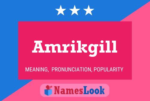 Постер имени Amrikgill