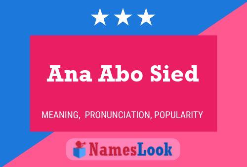 Постер имени Ana Abo Sied