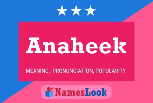 Постер имени Anaheek