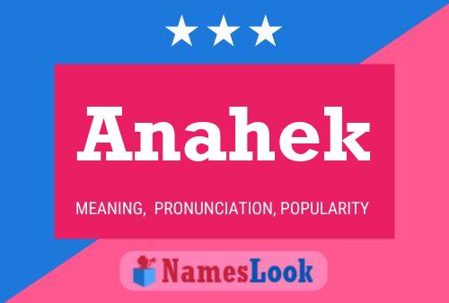 Постер имени Anahek