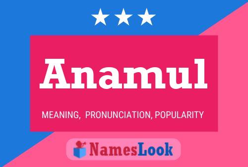 Постер имени Anamul