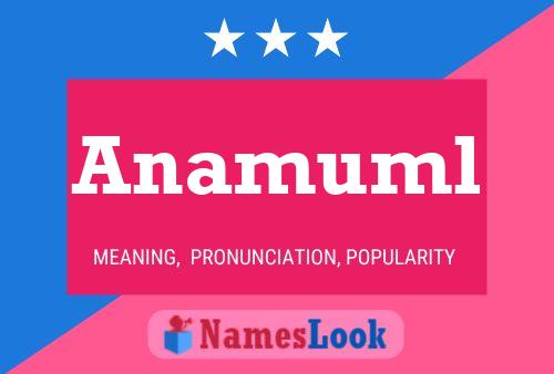 Постер имени Anamuml