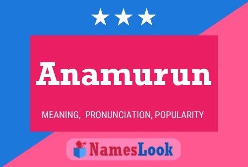 Постер имени Anamurun