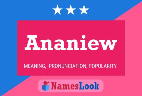 Постер имени Ananiew