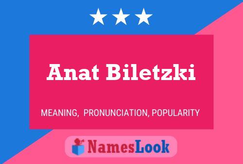 Постер имени Anat Biletzki