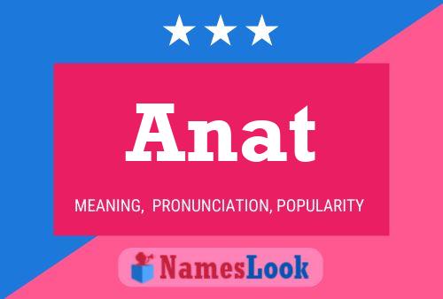 Постер имени Anat