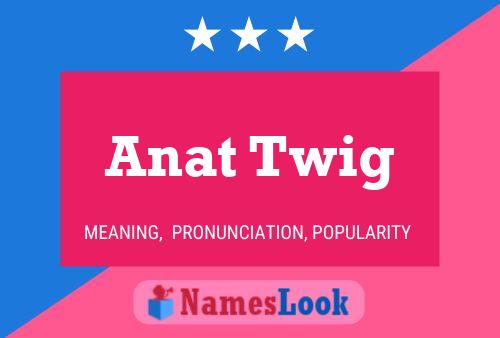 Постер имени Anat Twig