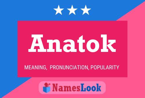 Постер имени Anatok